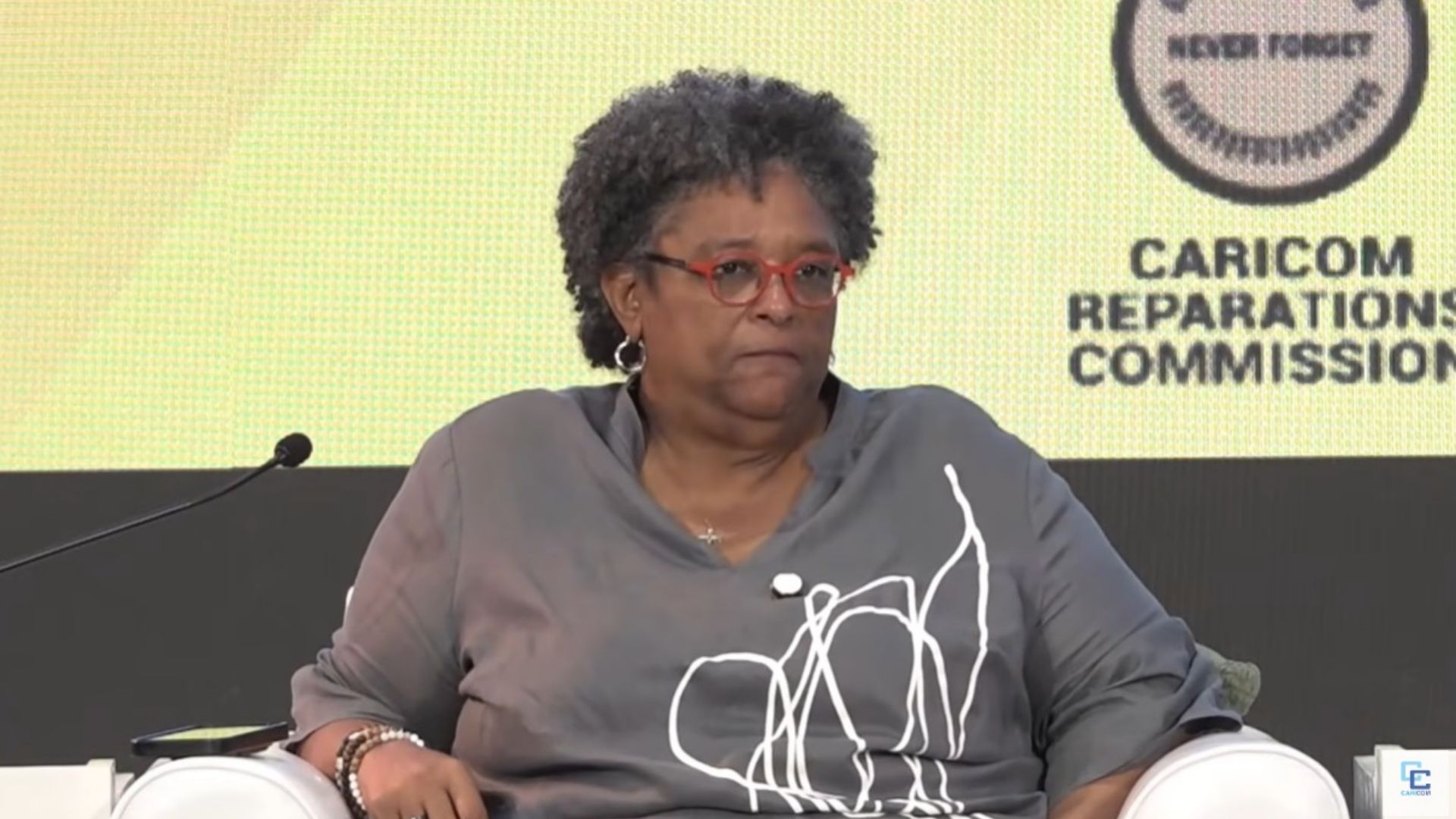 &lsquo;We have no desire to bankrupt anybody, but we have a desire for justice&rsquo;: Reparations movement pushes towards action